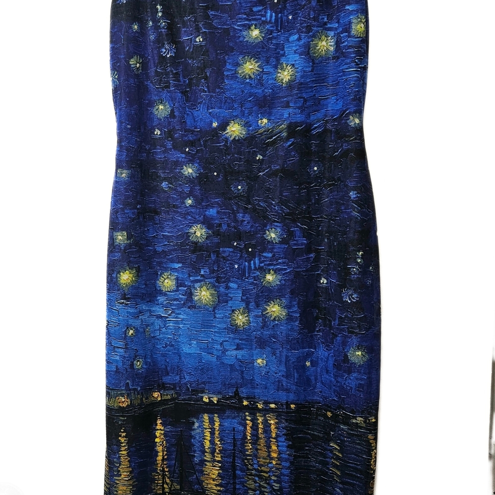 NWT! Starry Night Over The RhôneSheer Bodycon Slip Dress - Picture 6 of 9